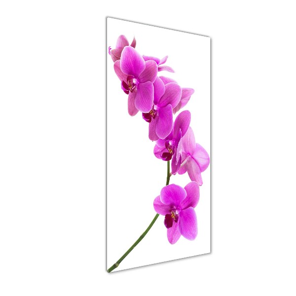 Cuadro decorativo en cristal con canto pulido vertical Orquídea rosa