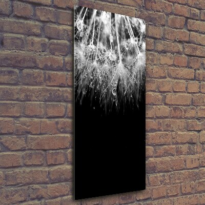 Cuadro de vidrio templado 4mm para pared vertical semillas de diente de león