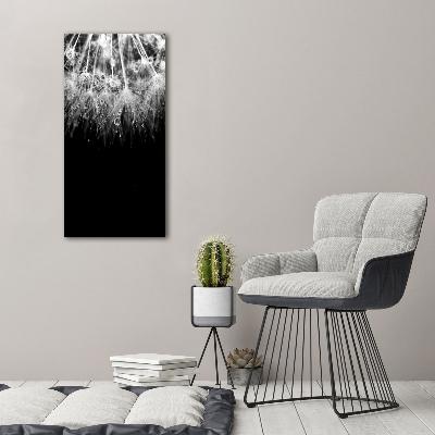 Cuadro de vidrio templado 4mm para pared vertical semillas de diente de león