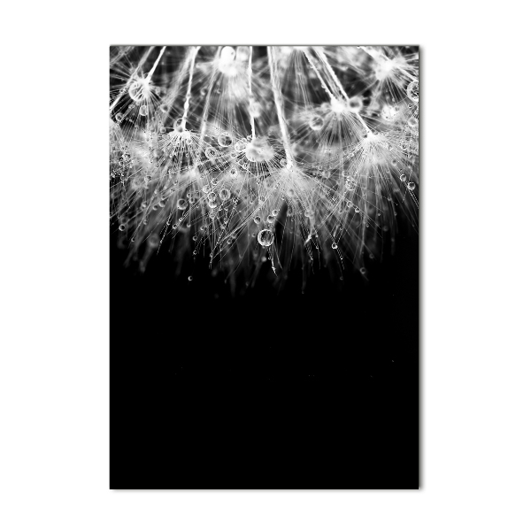 Cuadro de vidrio templado 4mm para pared vertical semillas de diente de león