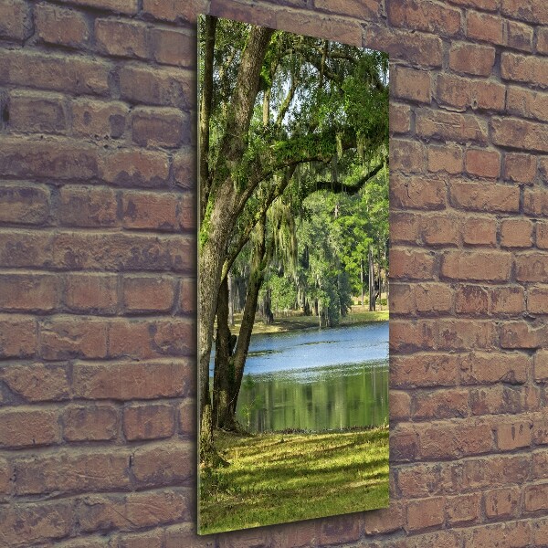 Fotocuadro de cristal elegante para hogar vertical Lago en el parque