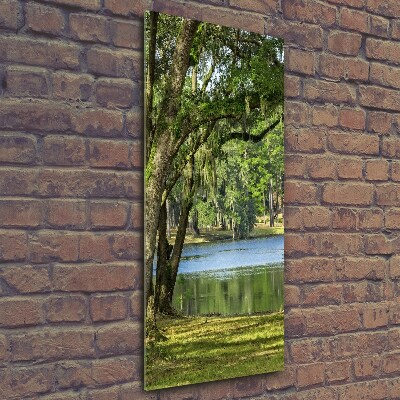 Fotocuadro de cristal elegante para hogar vertical Lago en el parque