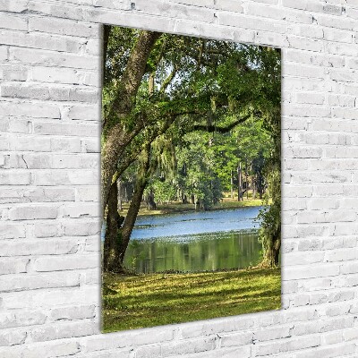 Fotocuadro de cristal elegante para hogar vertical Lago en el parque