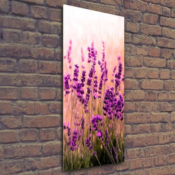 Cuadro decorativo en cristal con canto pulido vertical campo de lavanda
