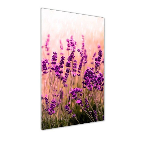 Cuadro decorativo en cristal con canto pulido vertical campo de lavanda