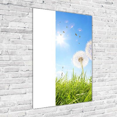 Cuadro de vidrio templado 4mm para pared vertical Dientes de león en el prado