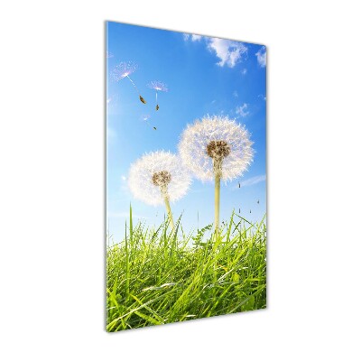 Cuadro de vidrio templado 4mm para pared vertical Dientes de león en el prado