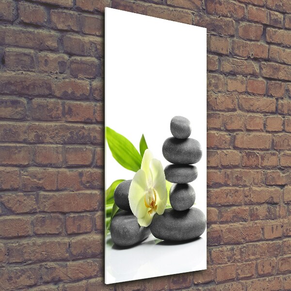 Cuadro de cristal moderno efecto brillo vertical Orquídea y piedras