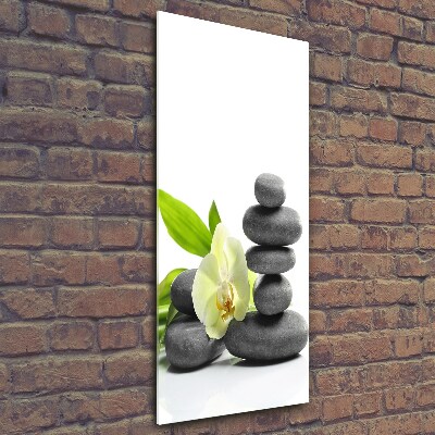 Cuadro de cristal moderno efecto brillo vertical Orquídea y piedras