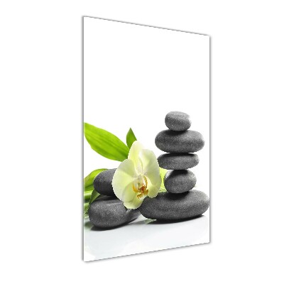 Cuadro de cristal moderno efecto brillo vertical Orquídea y piedras