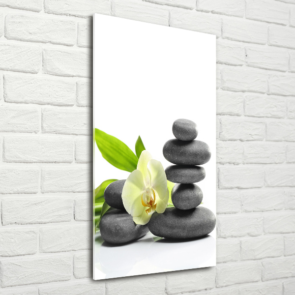 Cuadro de cristal moderno efecto brillo vertical Orquídea y piedras