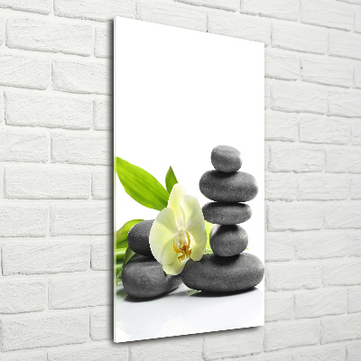 Cuadro de cristal moderno efecto brillo vertical Orquídea y piedras