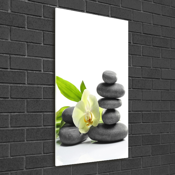 Cuadro de cristal moderno efecto brillo vertical Orquídea y piedras