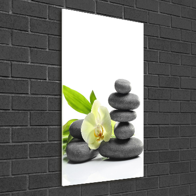 Cuadro de cristal moderno efecto brillo vertical Orquídea y piedras