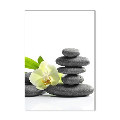 Cuadro de cristal moderno efecto brillo vertical Orquídea y piedras