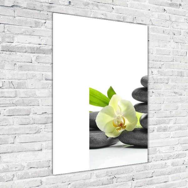 Cuadro de cristal moderno efecto brillo vertical Orquídea y piedras