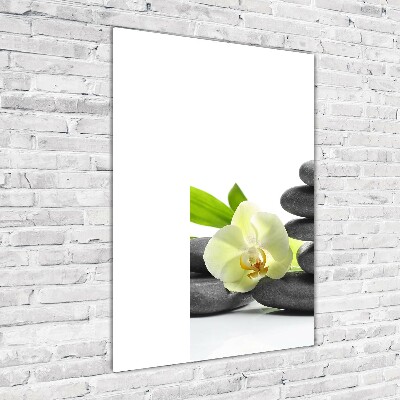 Cuadro de cristal moderno efecto brillo vertical Orquídea y piedras