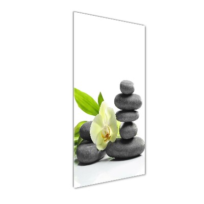 Cuadro de cristal moderno efecto brillo vertical Orquídea y piedras