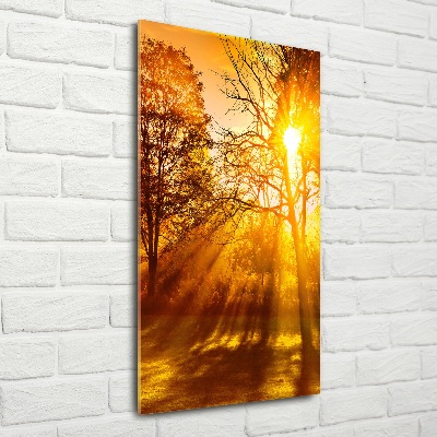 Cuadro de cristal moderno efecto brillo vertical Parque en otoño