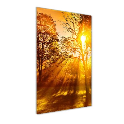 Cuadro de cristal moderno efecto brillo vertical Parque en otoño