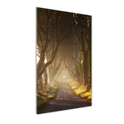 Cuadro decorativo en cristal con canto pulido vertical Camino en el bosque