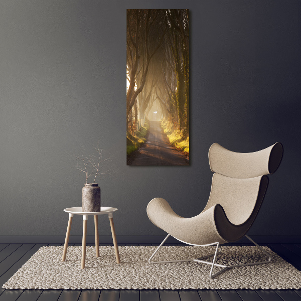 Cuadro decorativo en cristal con canto pulido vertical Camino en el bosque