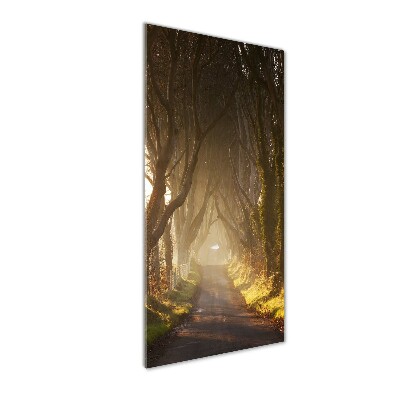 Cuadro decorativo en cristal con canto pulido vertical Camino en el bosque