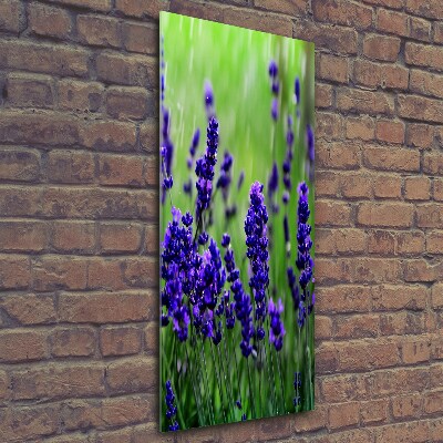 Cuadro decorativo en cristal con canto pulido vertical campo de lavanda