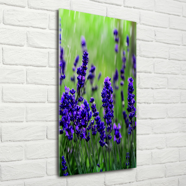 Cuadro decorativo en cristal con canto pulido vertical campo de lavanda