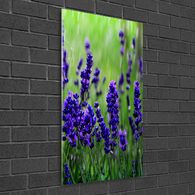 Cuadro decorativo en cristal con canto pulido vertical campo de lavanda
