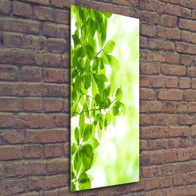Cuadro de vidrio templado 4mm para pared vertical hojas verdes