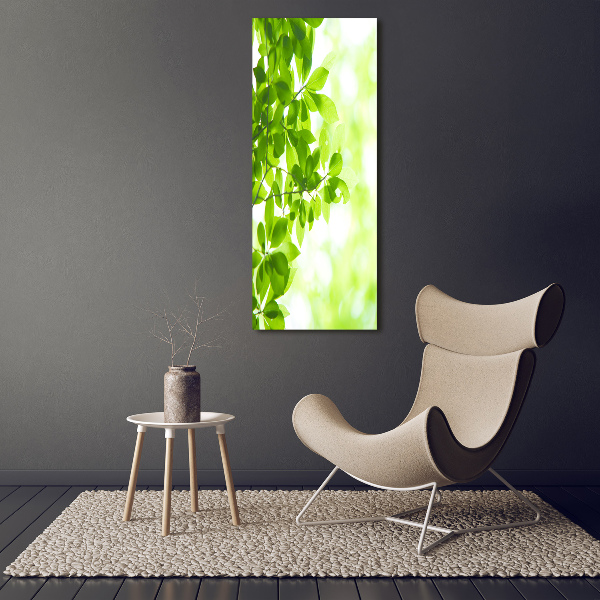 Cuadro de vidrio templado 4mm para pared vertical hojas verdes