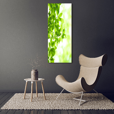 Cuadro de vidrio templado 4mm para pared vertical hojas verdes