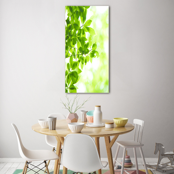 Cuadro de vidrio templado 4mm para pared vertical hojas verdes