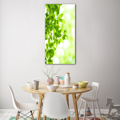 Cuadro de vidrio templado 4mm para pared vertical hojas verdes