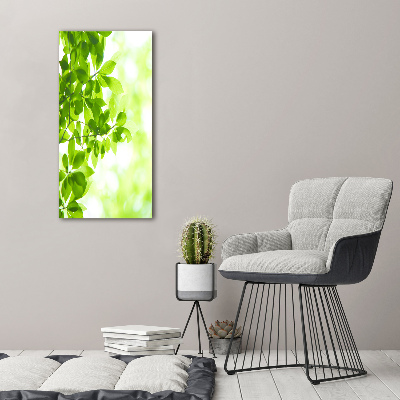 Cuadro de vidrio templado 4mm para pared vertical hojas verdes