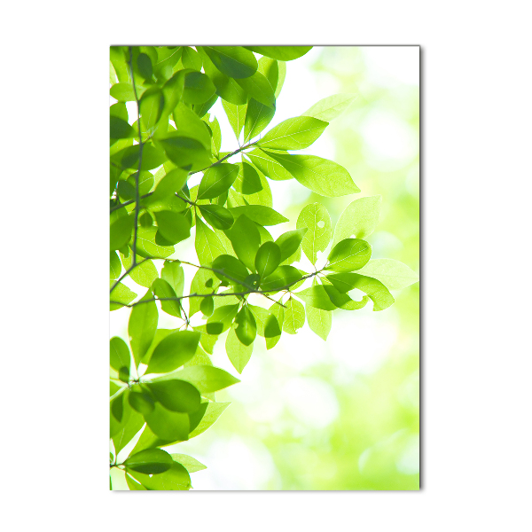 Cuadro de vidrio templado 4mm para pared vertical hojas verdes