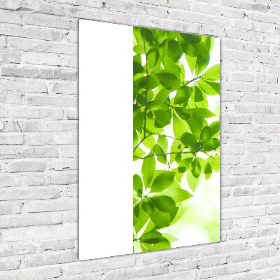 Cuadro de vidrio templado 4mm para pared vertical hojas verdes