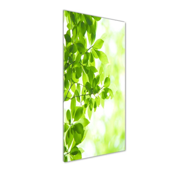 Cuadro de vidrio templado 4mm para pared vertical hojas verdes