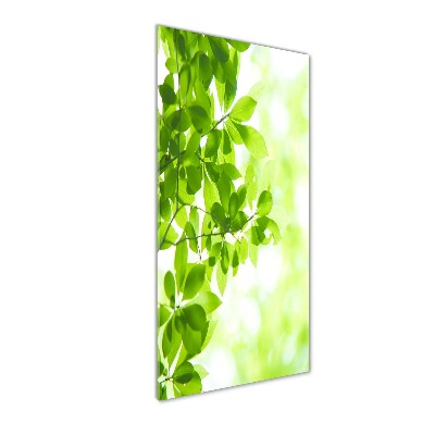 Cuadro de vidrio templado 4mm para pared vertical hojas verdes