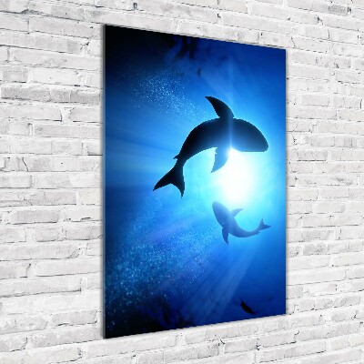 Fotocuadro de cristal elegante para hogar vertical siluetas de tiburones