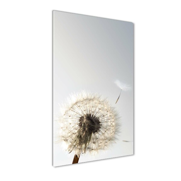Cuadro de cristal moderno efecto brillo vertical Diente de león