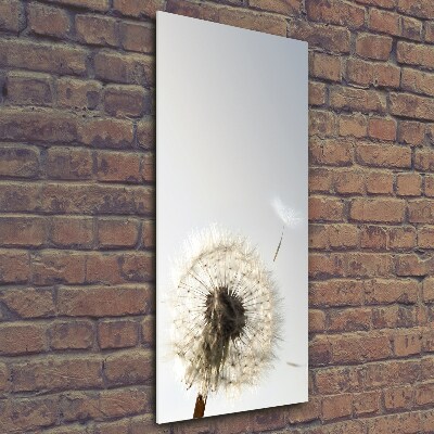 Cuadro de cristal moderno efecto brillo vertical Diente de león