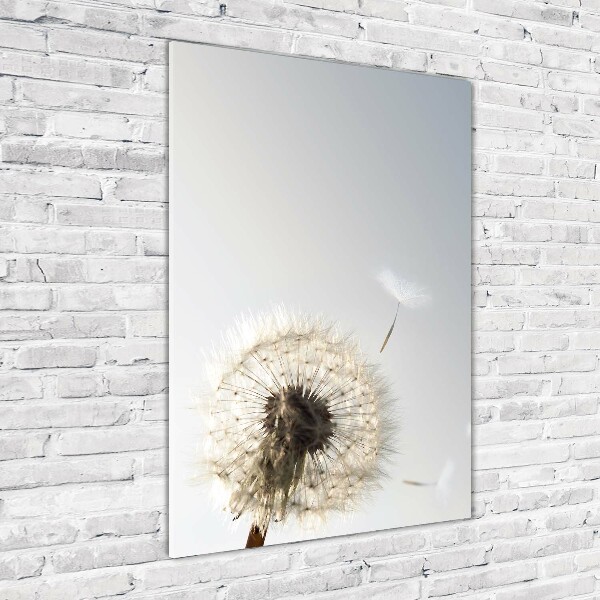Cuadro de cristal moderno efecto brillo vertical Diente de león