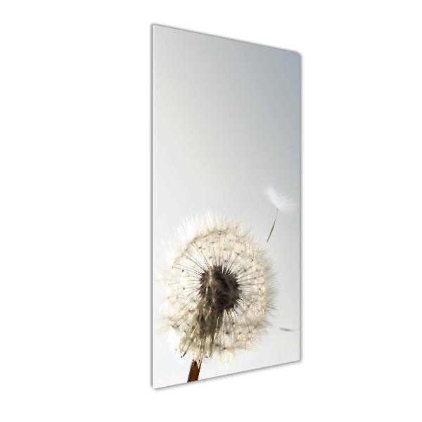 Cuadro de cristal moderno efecto brillo vertical Diente de león