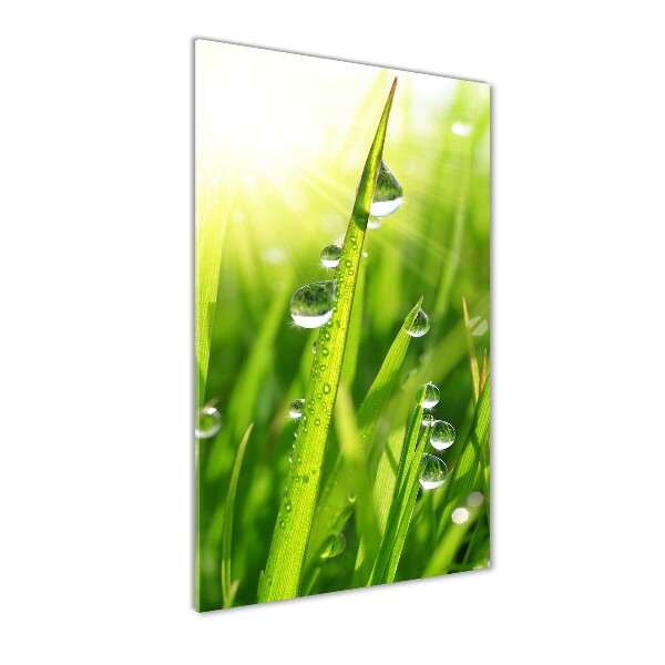 Cuadro decorativo en cristal con canto pulido vertical Briznas de hierba