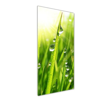 Cuadro decorativo en cristal con canto pulido vertical Briznas de hierba