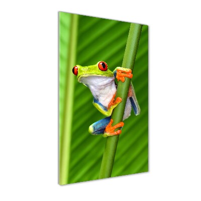 Fotocuadro de cristal elegante para hogar vertical Rana arbórea europea