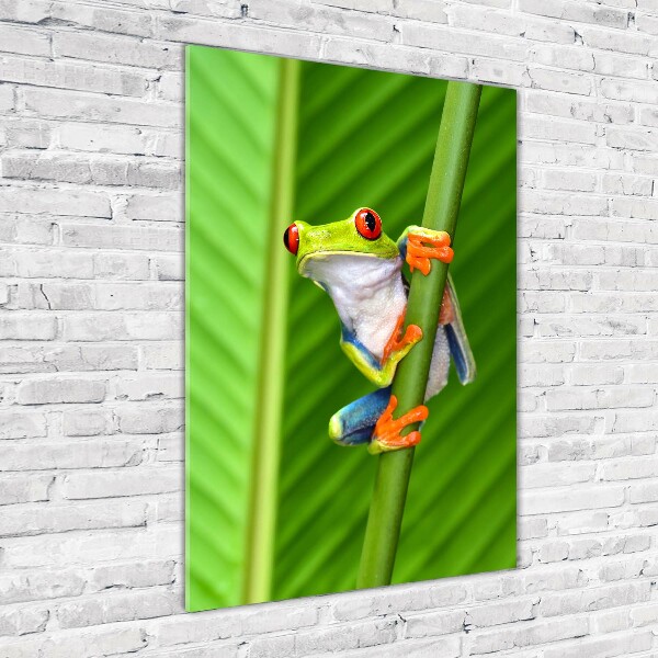 Fotocuadro de cristal elegante para hogar vertical Rana arbórea europea
