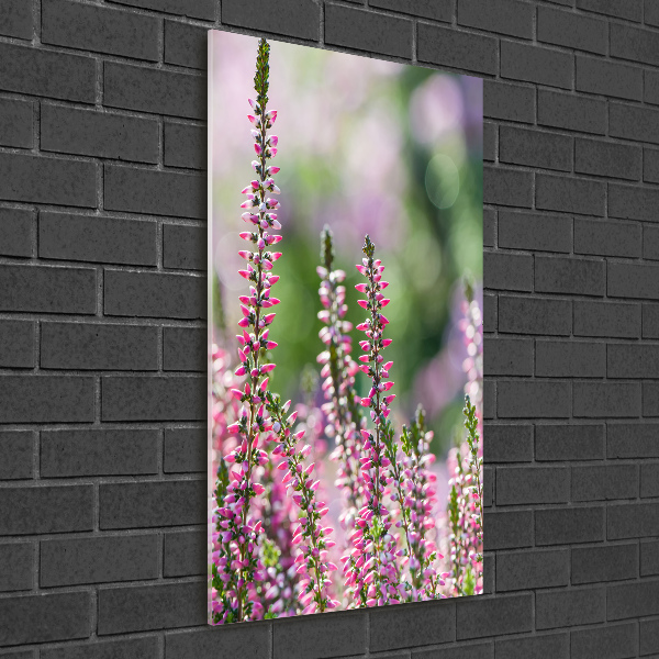Fotoobraz szklany na ścianę do salonu pionowy Wrzos